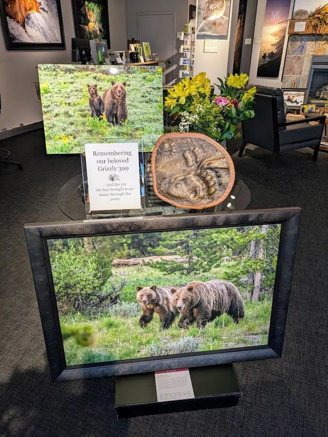 MANGELSEN—Images of Nature Gallery